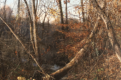 Michael Mosorjak (American 20th and 21st century)