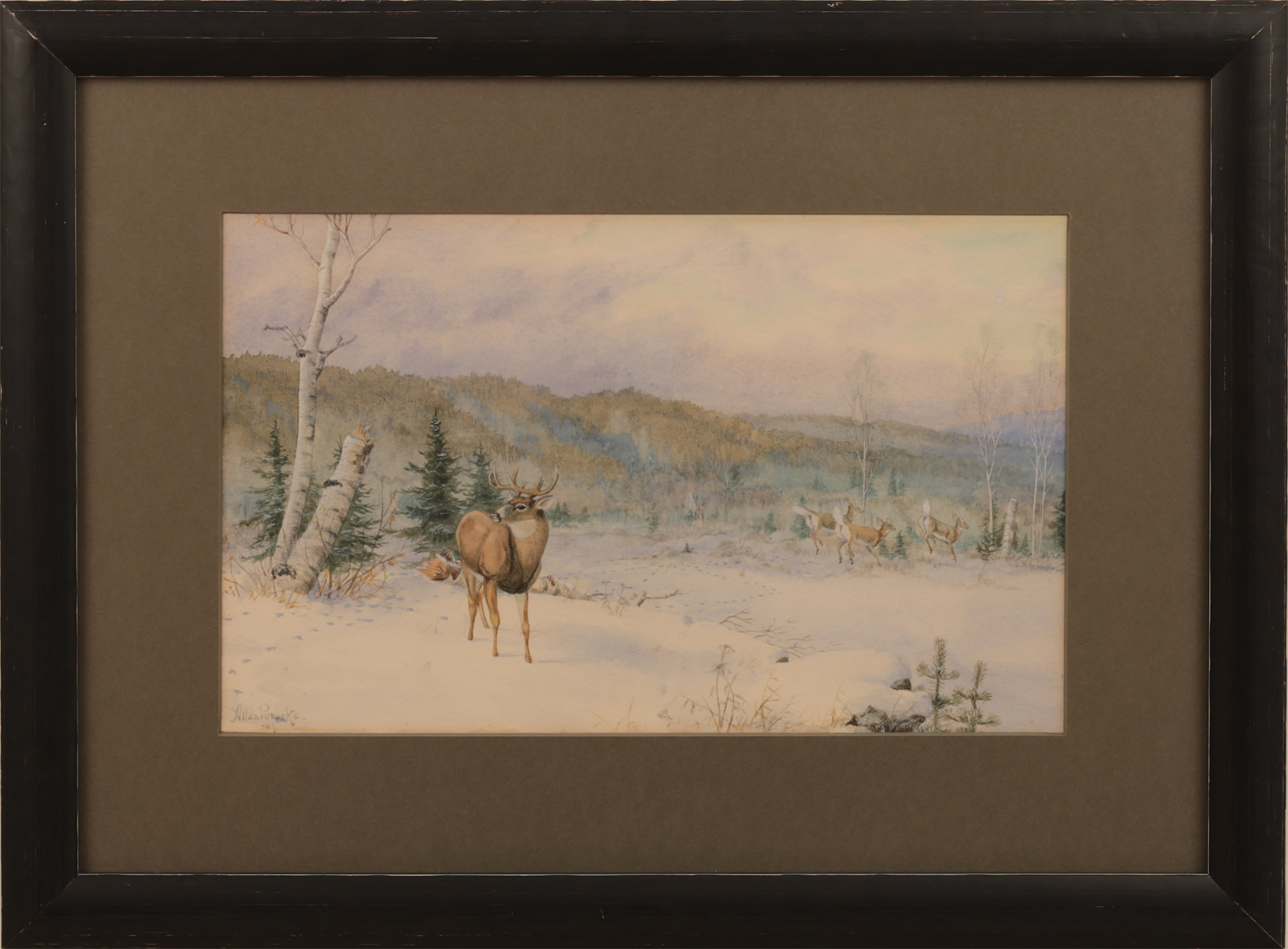 Allan Brooks Artwork for Sale Deer in Landscape