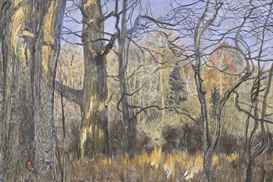James C. Groves (American)