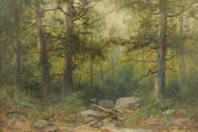 Christopher High Shearer - Forest Landscape with Boulder Stream 
